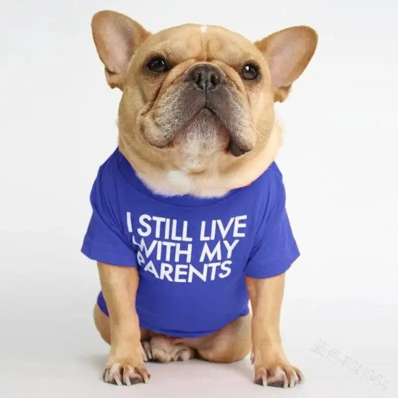 Pet T-Shirt – Soft Dog Shirt for Small & Medium Dogs STTM