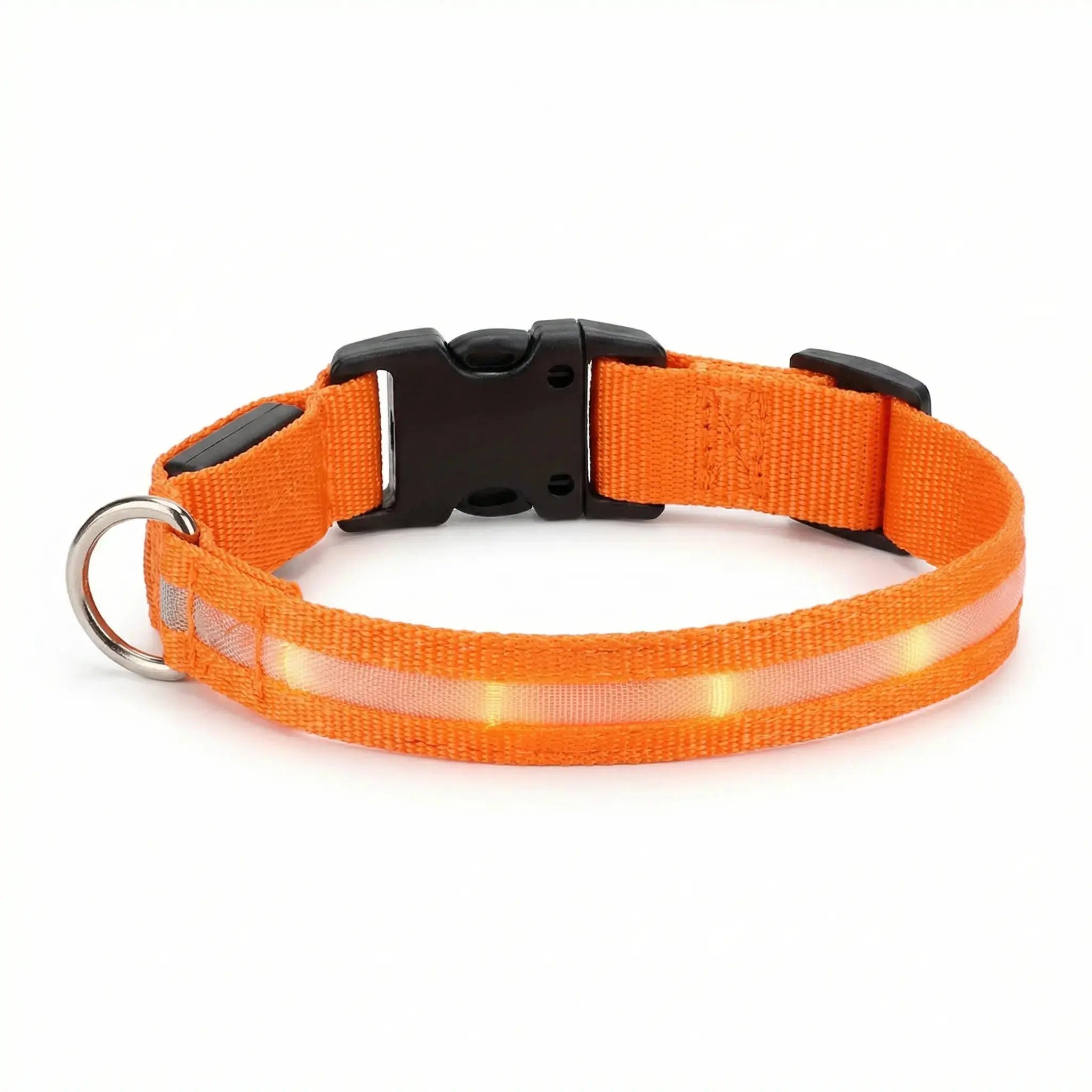 Glow Dog Collar – LED Safety Collar for Night Visibility STTM
