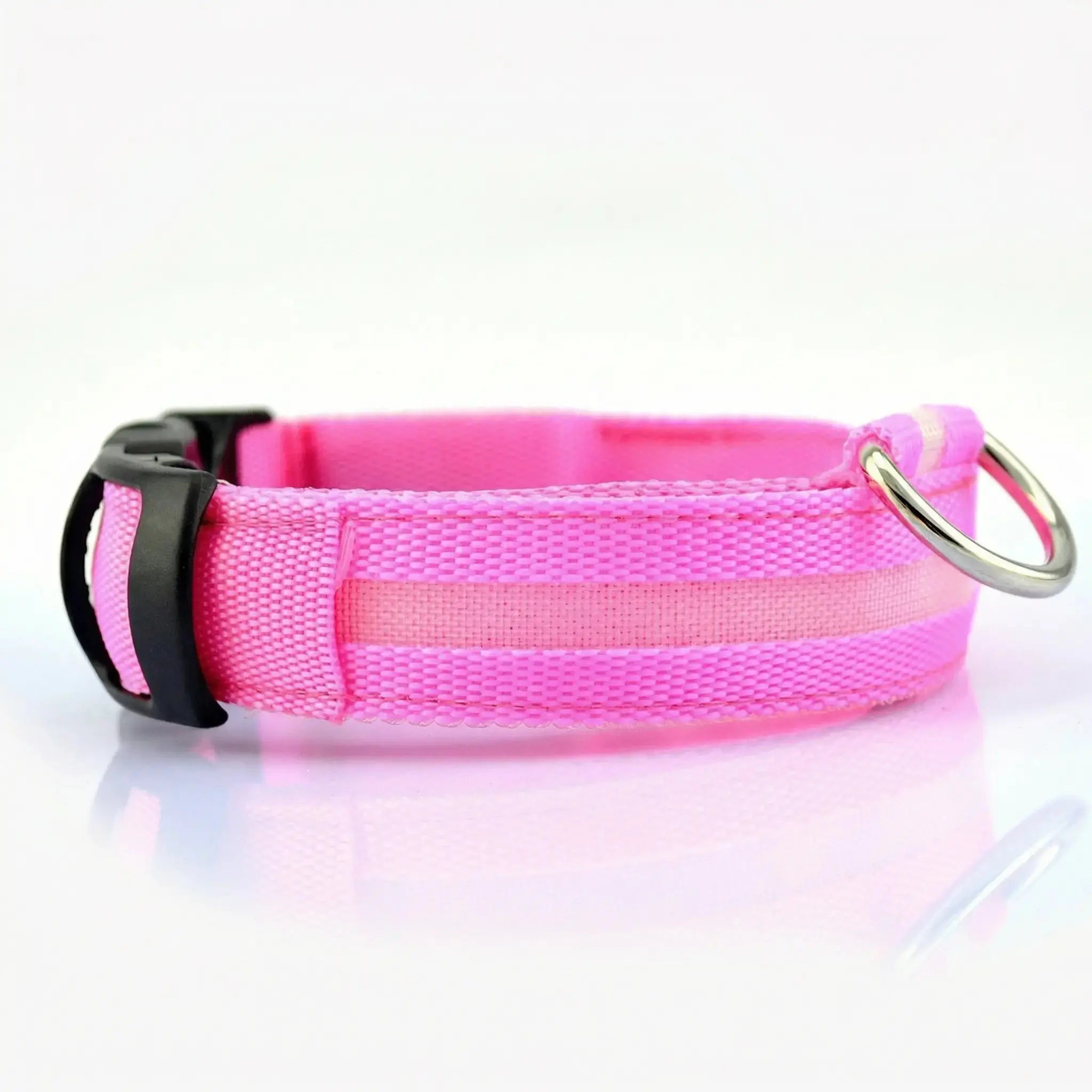 Glow Dog Collar – LED Safety Collar for Night Visibility STTM