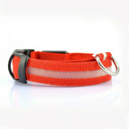 Glow Dog Collar – LED Safety Collar for Night Visibility STTM