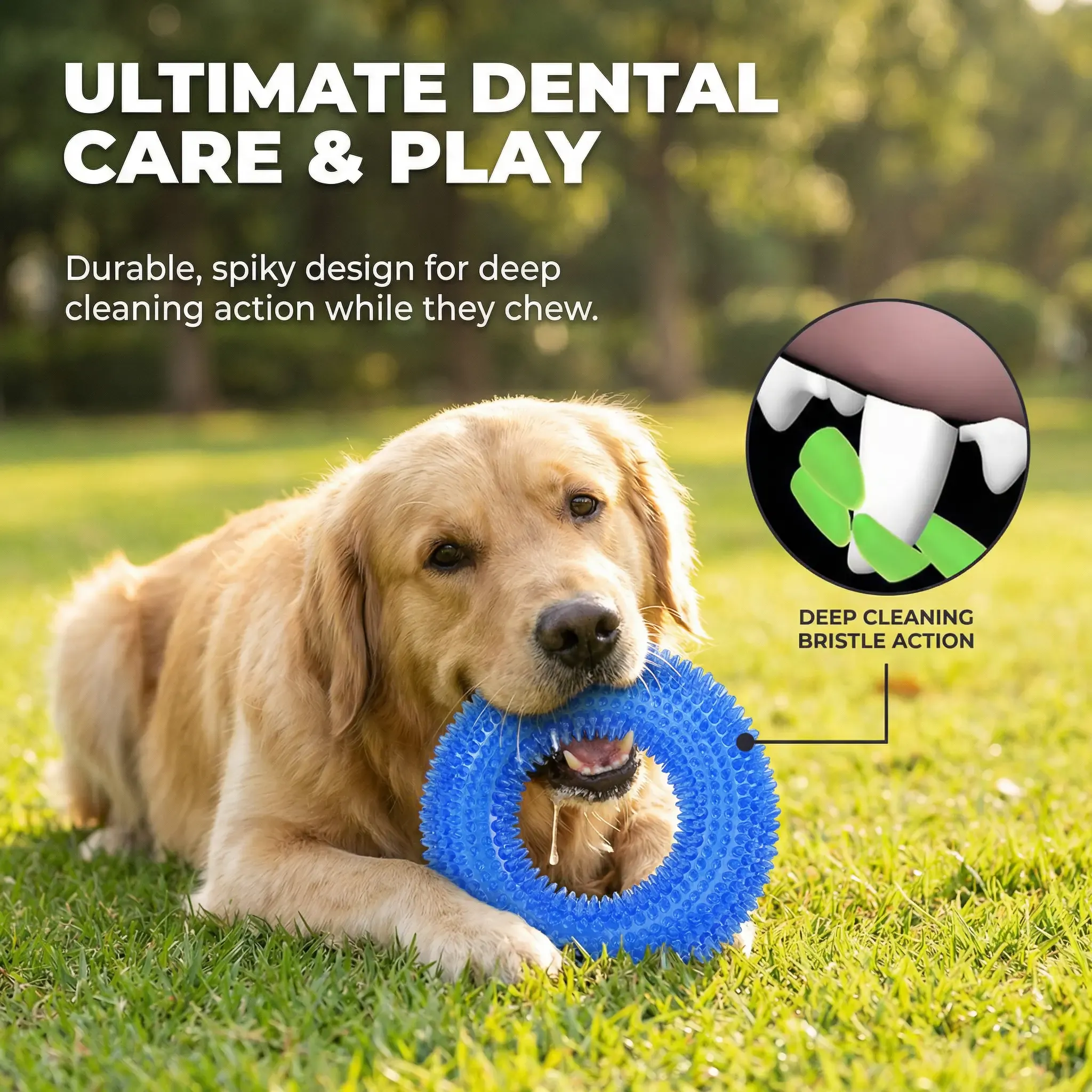 2 Pack Dog Toys – Bite-Resistant Squeaky Chew Balls