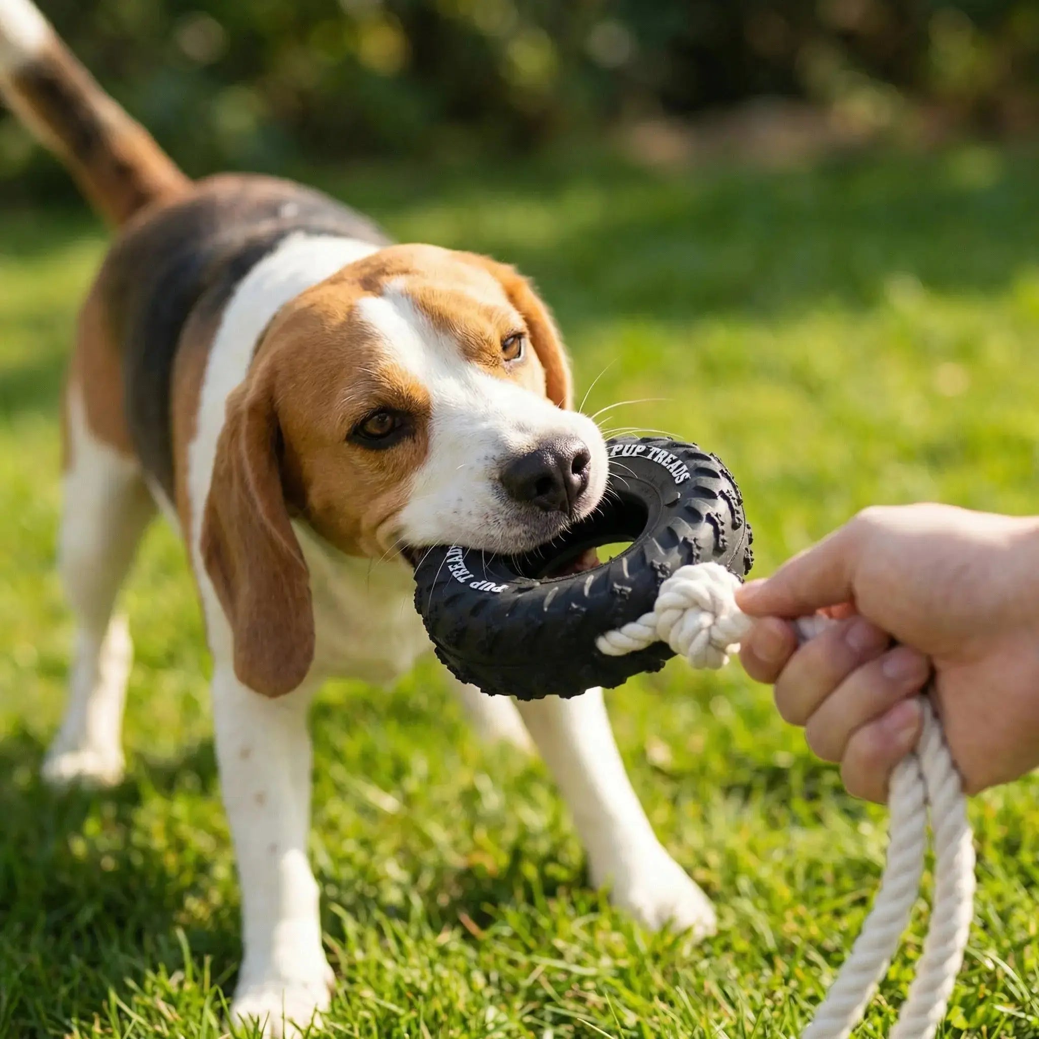 Dog Chew Tire – Tough Rubber Toy for Play & IQ Training STTM