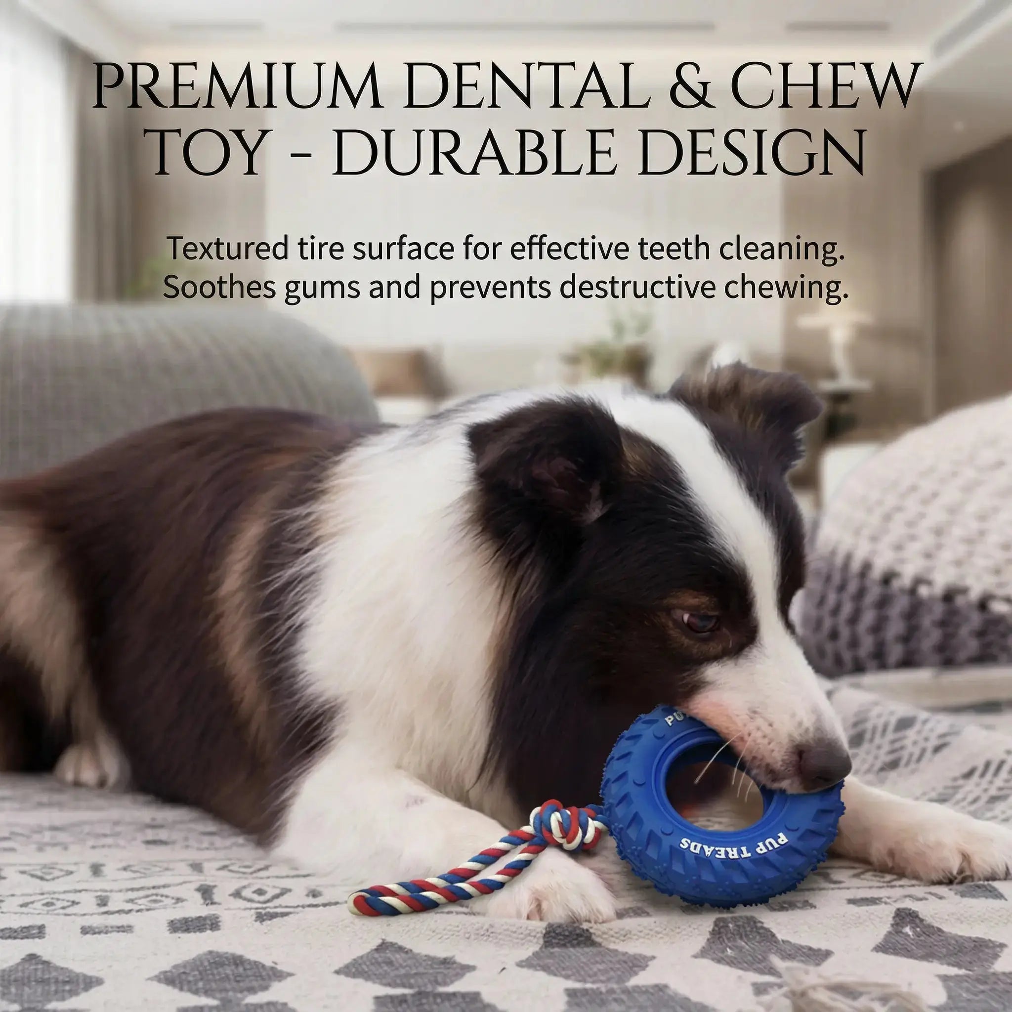 Dog Chew Tire – Tough Rubber Toy for Play & IQ Training STTM