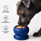 Frozen Fillable Dog Chew Toy