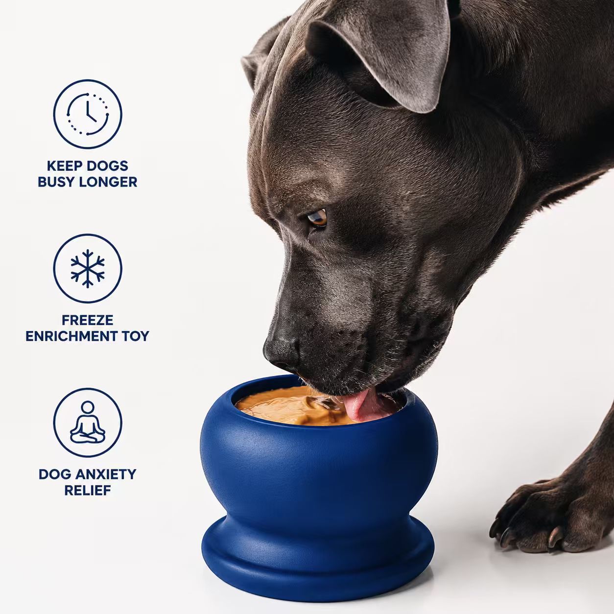 Frozen Fillable Dog Chew Toy