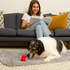 Rolling Fun Ball – Smart Interactive Pet Toy for Dogs & Cats