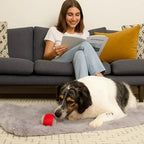Rolling Fun Ball – Smart Interactive Pet Toy for Dogs & Cats Fursera