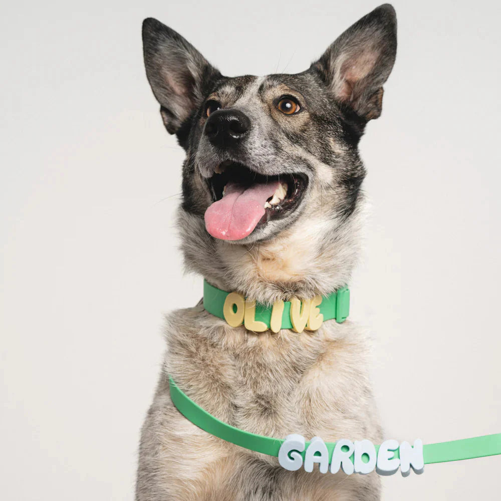 Waterproof Dog Collar with Custom Name Charms