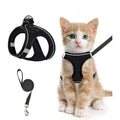 Breathable Adjustable Pet Harness &amp; Leash Set