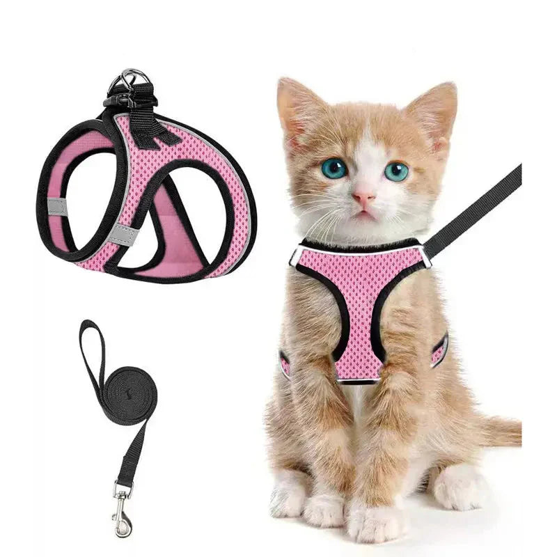 Breathable Adjustable Pet Harness &amp; Leash Set