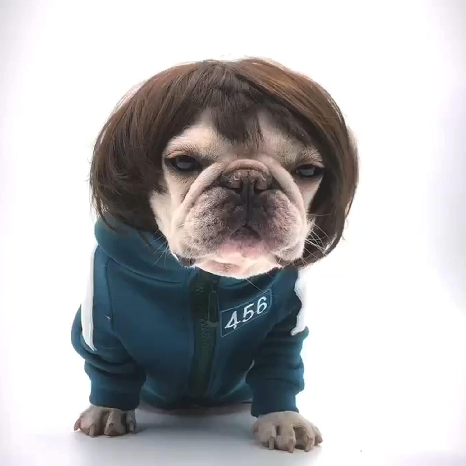 Funny Dog Wig for Cats & Dogs