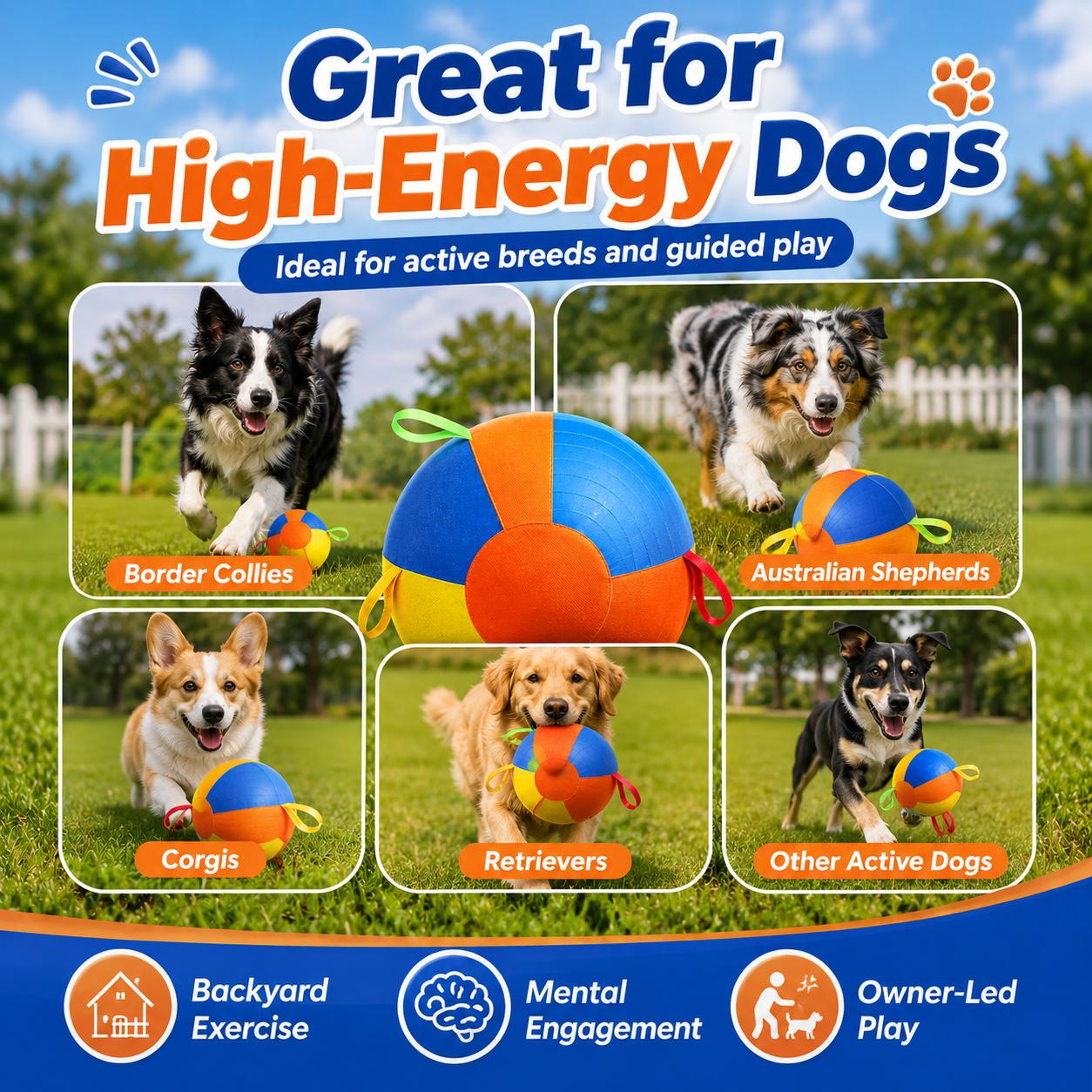 Dog Herding Ball with Handles & Pump