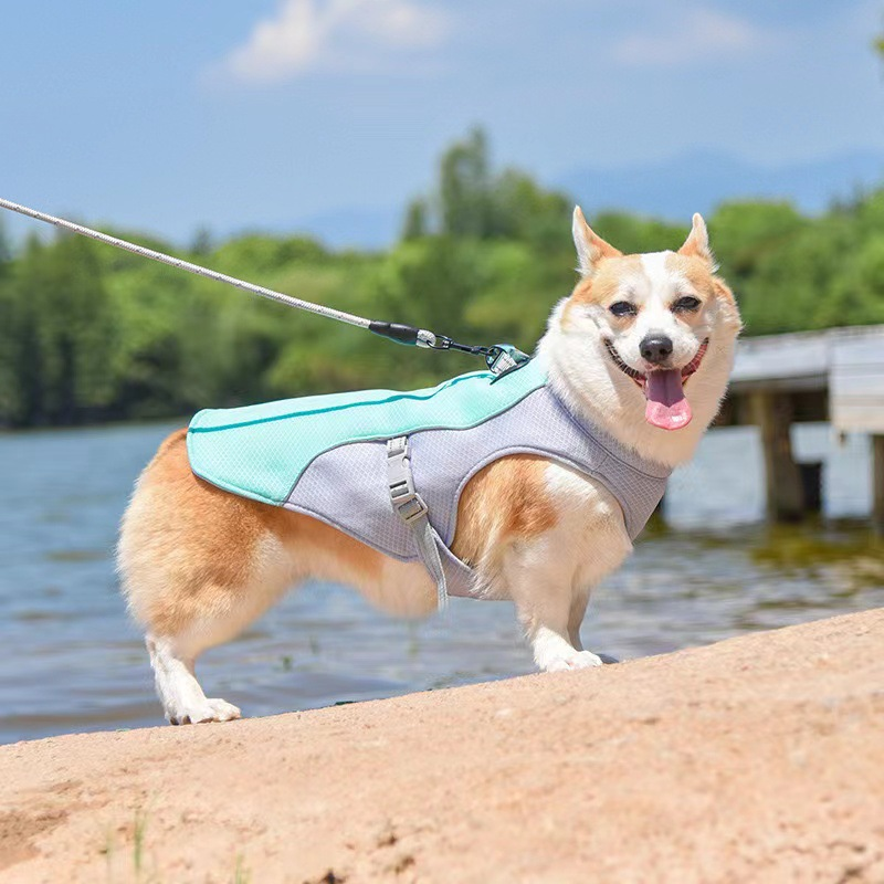 Dog Cooling Vest Harness