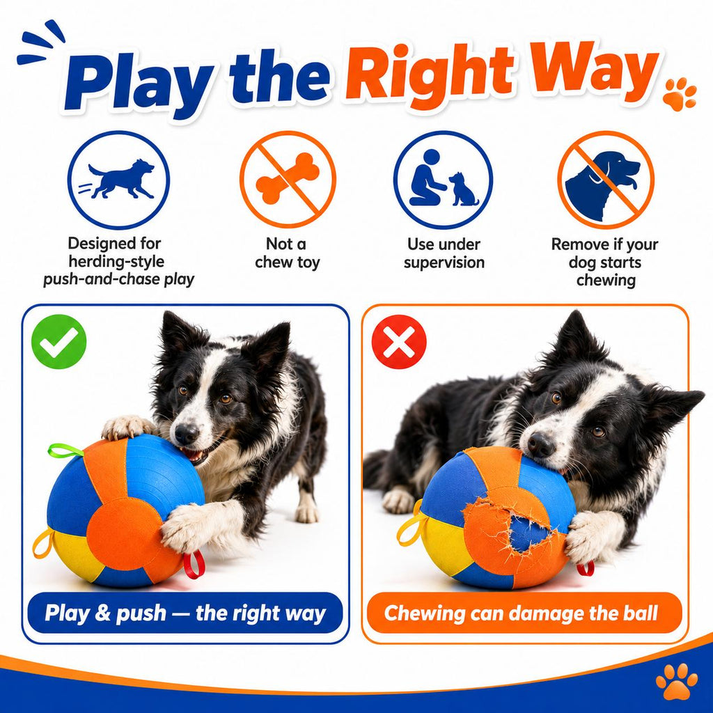 Dog Herding Ball with Handles & Pump