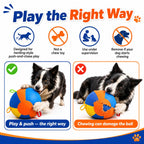 Dog Herding Ball with Handles & Pump