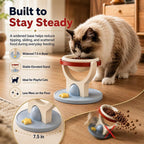 2-in-1 Wall Mounted & Elevated Cat Bowl