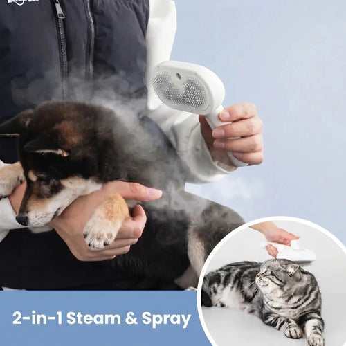 2 in 1 Pet Spray Hair Removal Comb Fursera