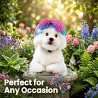 6-Piece Funny Pet Wig Set for Dogs & Cats
