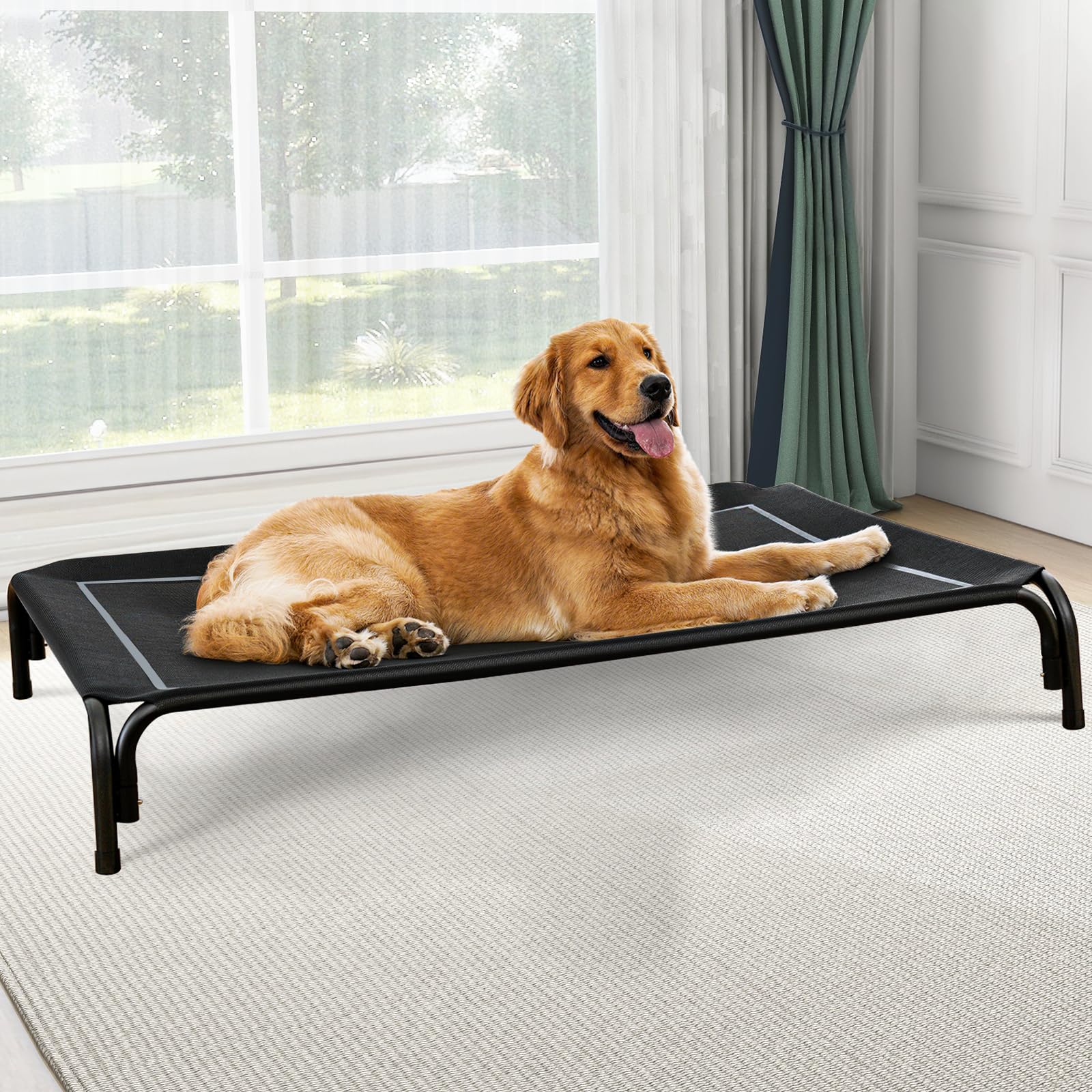Raised Dog Bed with Breathable Mesh