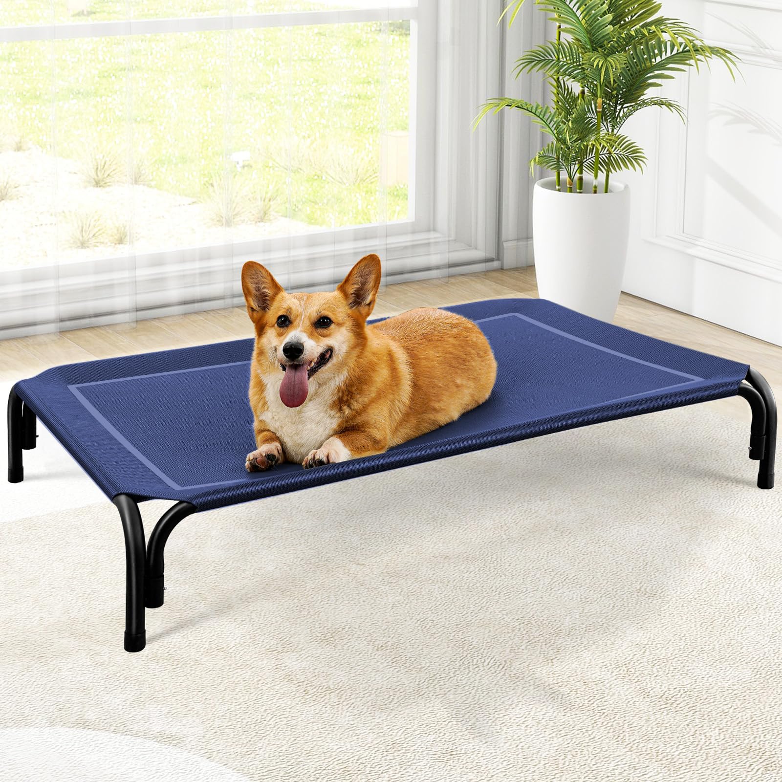 Raised Dog Bed with Breathable Mesh