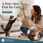 6 Pack Bouncy Cat Feather Ball Toys – Interactive Silicone Cat Balls for Indoor Cats