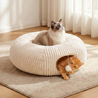 2-in-1 Cat Tunnel Bed – Foldable Cat Cave & Interactive Play Tunnel for Indoor Cats