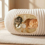 2-in-1 Cat Tunnel Bed – Foldable Cat Cave & Interactive Play Tunnel for Indoor Cats