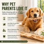 Coffee Wood Dog Chew Toy – Natural Long-Lasting Chewing Stick for Dogs