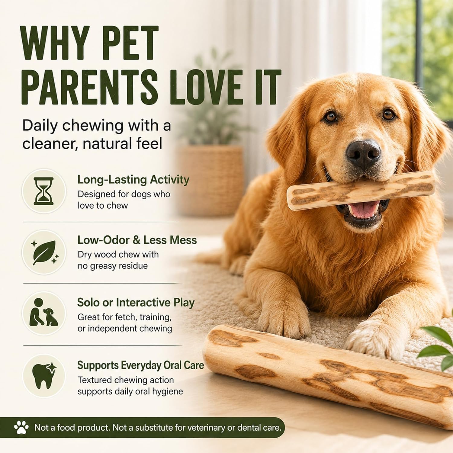 Coffee Wood Dog Chew Toy – Natural Long-Lasting Chewing Stick for Dogs