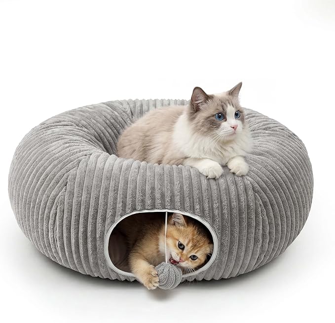 2-in-1 Cat Tunnel Bed – Foldable Cat Cave & Interactive Play Tunnel for Indoor Cats