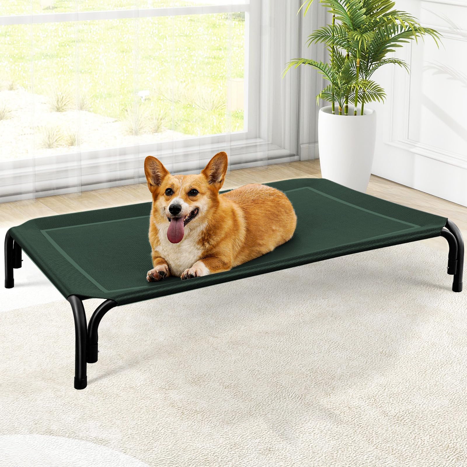 Raised Dog Bed with Breathable Mesh