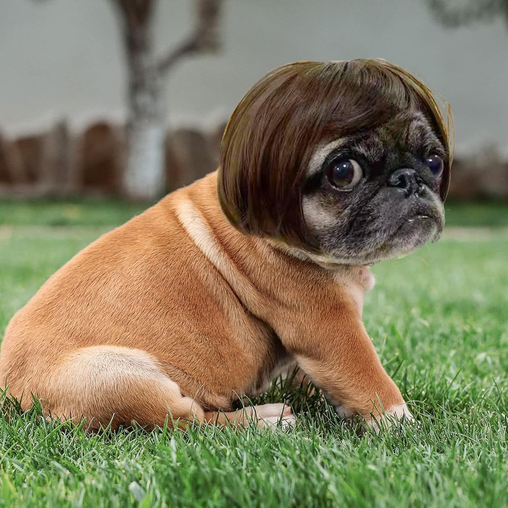 Funny Dog Wig for Cats & Dogs