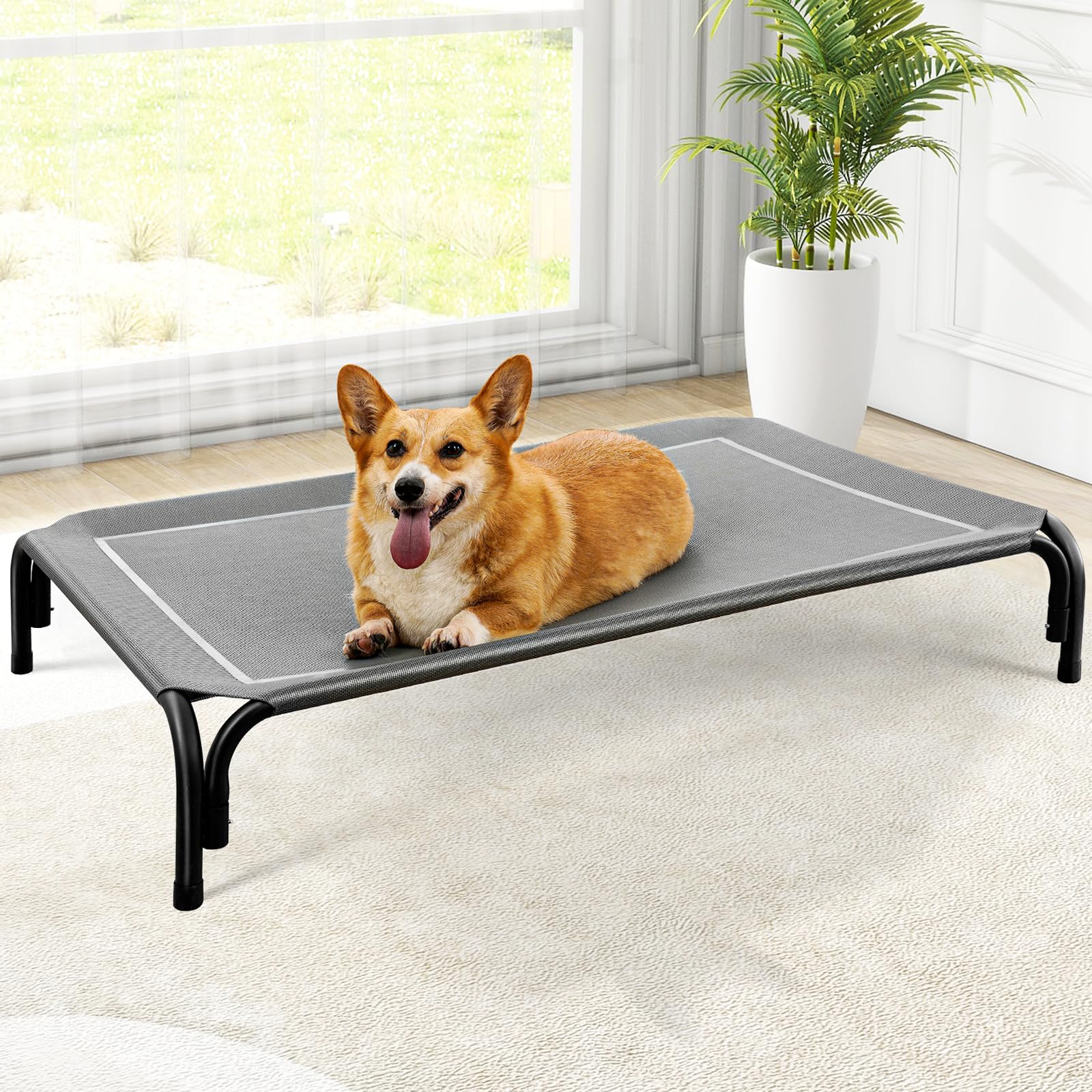 Raised Dog Bed with Breathable Mesh