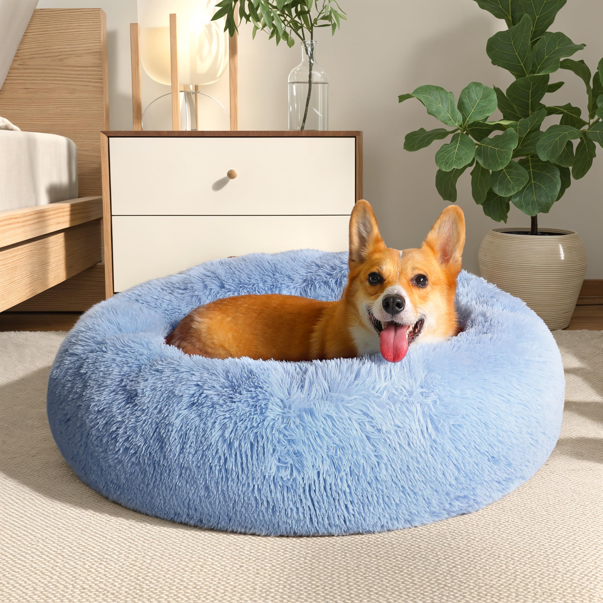 Cloud Calming Donut Dog & Cat Bed