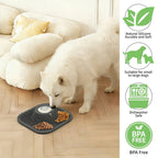 Slow Feeder & Lick Toy Bowl for Dogs