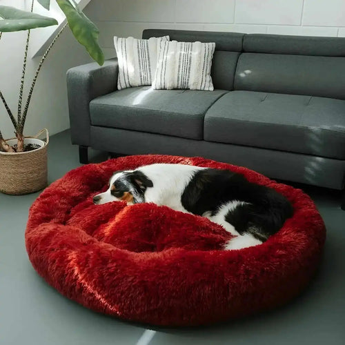 Calming Orthopedic Bed - Anxiety Relieving Dog Bed Fursera