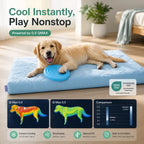 Breathable Cooling Orthopedic Dog Bed