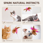 Hands-Free Collar Feather Cat Teaser