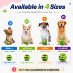 Giggle Ball Dog Toy – Interactive Wobble Ball