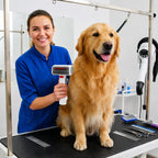 2-in-1 Pet Grooming Brush for Dogs & Cats