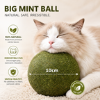 Giant Catnip Ball