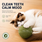Giant Catnip Ball