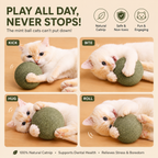 Giant Catnip Ball