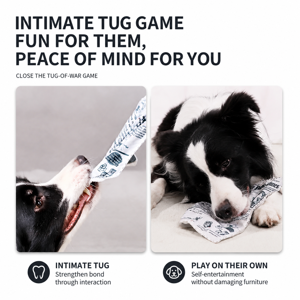 Crinkle Newspaper Dog Toy