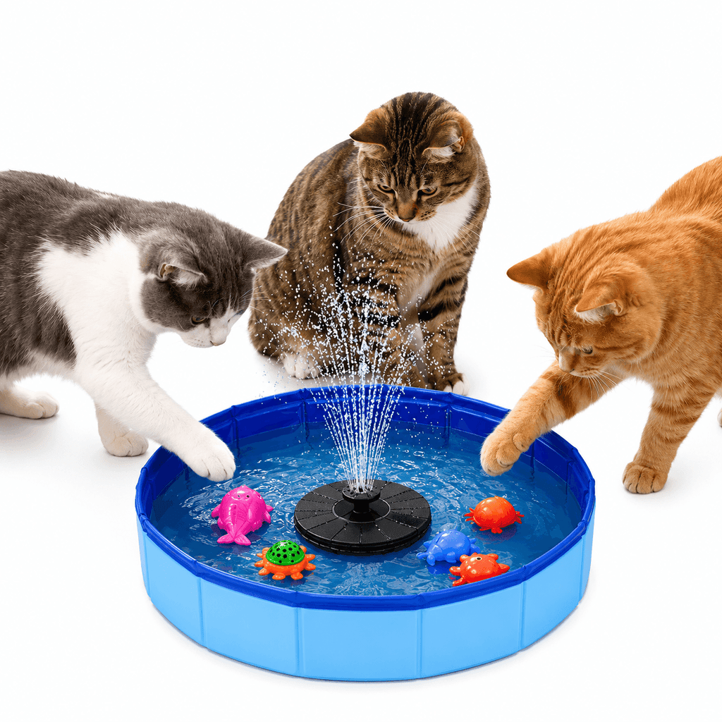 Solar Pet Splash Pool