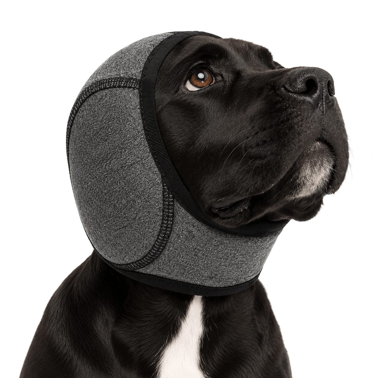 Noise Cancelling Dog Ear Wrap Fursera