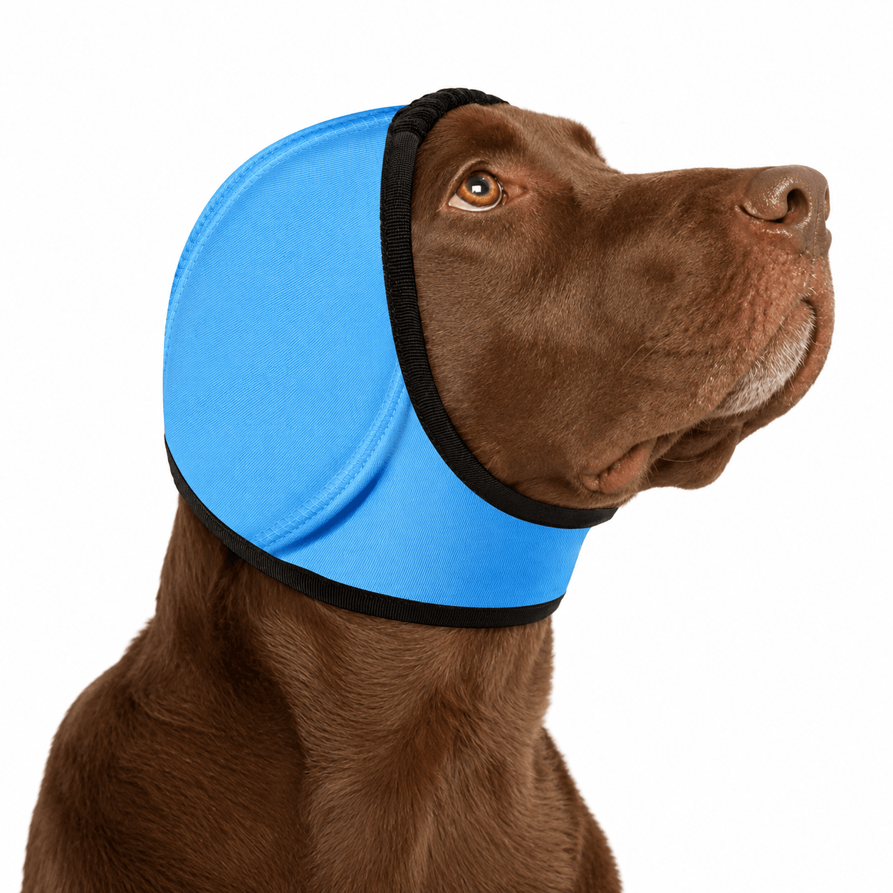 Noise Cancelling Dog Ear Wrap Fursera
