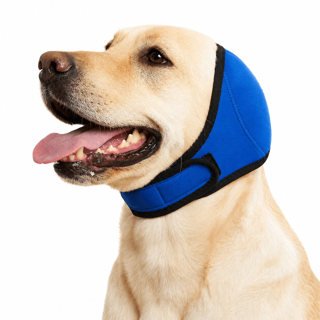Noise Cancelling Dog Ear Wrap Fursera