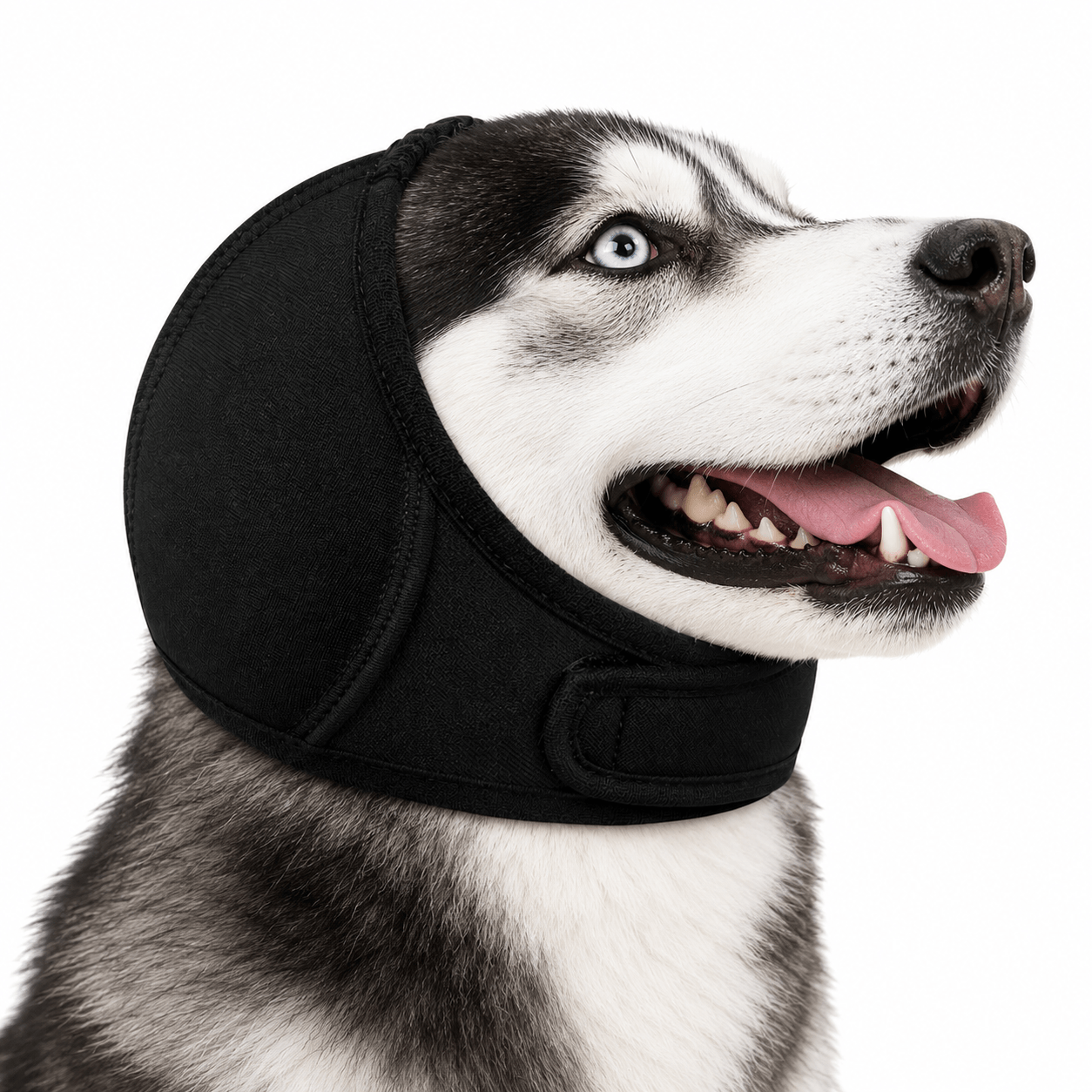 Noise Cancelling Dog Ear Wrap Fursera