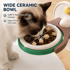 2-in-1 Wall Mounted & Elevated Cat Bowl